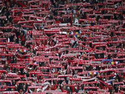 Der FSV Mainz 05 muss eine Strafe von 1500 Euro zahlen