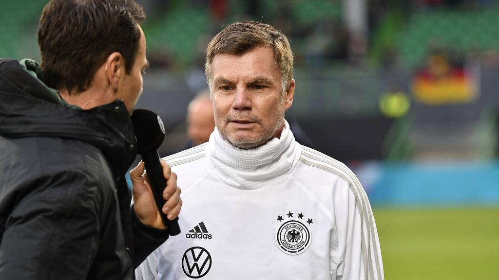Thomas Helmer äußert Zweifel an einer Verpflichtung von Sami Khedira Thomas Helmer äußert Zweifel an einer Verpflichtung von Sami Khedira