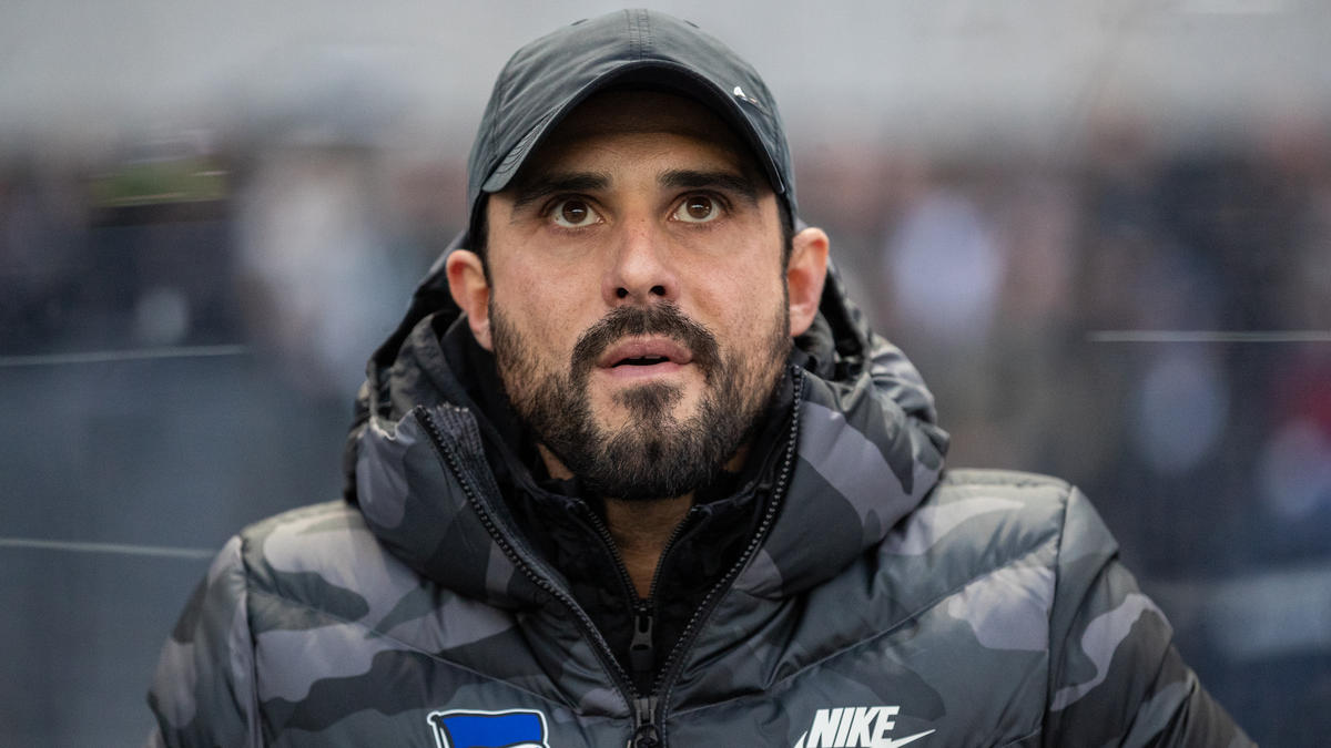 Alexander Nouri hat bei der Berliner Hertha angeheuert Alexander Nouri hat bei der Berliner Hertha angeheuert