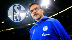 David Wagner ist seit dem Sommer Trainer des FC Schalke 04