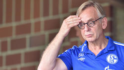 Prof. Dr. Stefan Gesenhues ist Schalkes Aufsichtsratsmitglied