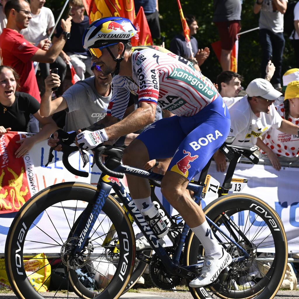 Platz 8: Primoz Roglic (Red Bull - BORA-hansgrohe) - +25:30 Minuten