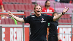 Markus Gisdol will mit dem 1. FC Köln realistisch bleiben