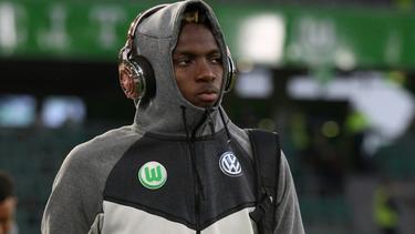 Victor Osimhen wechselt vom VfL Wolfsburg fest nach Charleroi