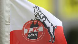 Der 1. FC Köln intensiviert sein Nachhaltigkeitsmanagement