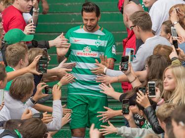 In Bremen ist Pizarro seit jeher ein gefeierter Star