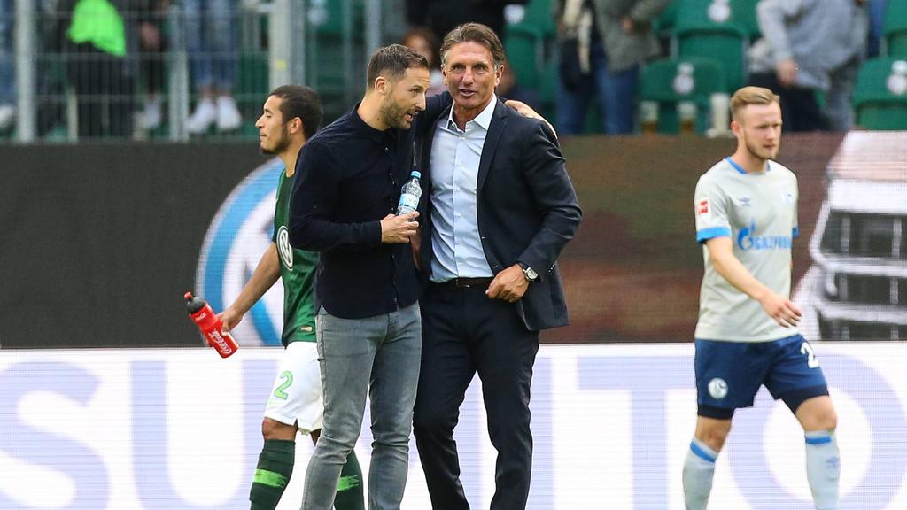 Domenico Tedesco (l.) und Bruno Labbadia sind angeblich Kandidaten auf den Trainerposten beim FC Schalke 04