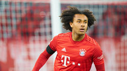 Joshua Zirkzee könnte bei Bayern der Nachfolger von Robert Lewandowski werden