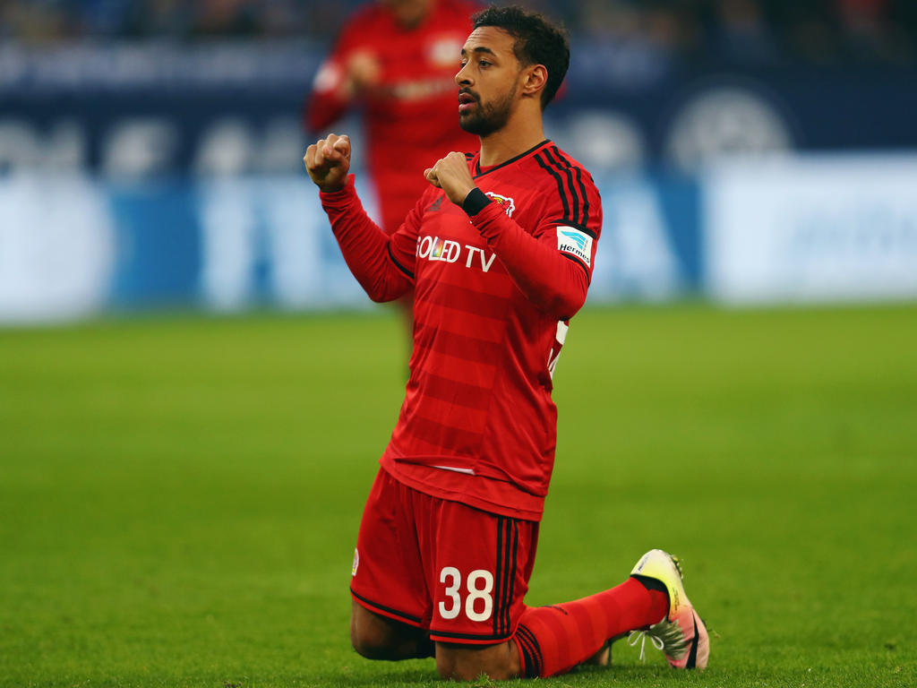 Bellarabi Bvb Bellarabi Bvb