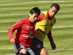 Hasebe und Chandler haben ihre Verträge bei der Eintracht verlängert