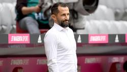 Hasan Salihamidzic hat sich beim FC Bayern etabliert