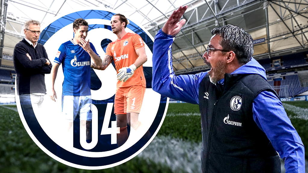 Beim FC Schalke 04 gibt es vor dem Saisonstart noch zahlreiche Baustellen