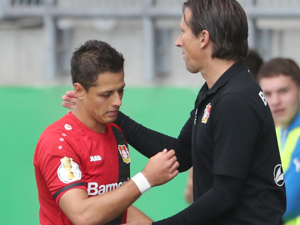 Javier Hernández (l.) könnte wieder für Leverkusen stürmen