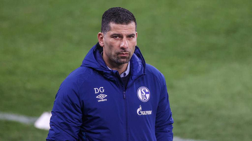 Dimitrios Grammozis ist neuer Trainer beim FC Schalke 04