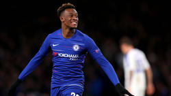 Callum-Hudson Odoi wird vom BVB und vom FC Bayern umworben