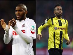 Neben Anthony Modeste (l.) liebäugelt auch Aubameyang mit Fernost