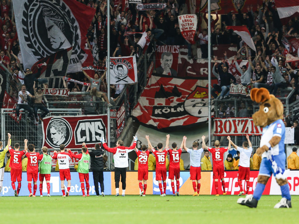 Die Spieler des 1. FC Köln lassen sich feiern