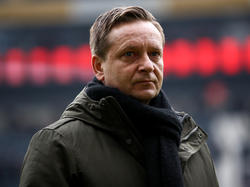 Steht bei Hannover 96 vor der Beförderung: Sportchef Horst Heldt