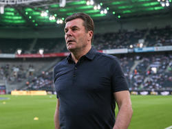 Hecking weist Gerüchte um eine Anfrage des HSV von sich