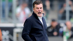 Dieter Hecking sorgt nach Gladbach-Remis gegen Werder Bremen für Interview-Eklat