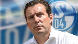 Führt Marc Wilmots den FC Schalke 04 wieder zurück in die Erfolgsspur?