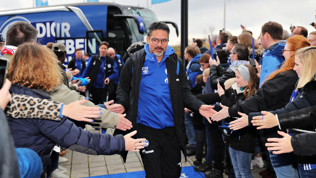 David Wagner bezeichnet die Fans des FC Schalke 04 als Vorbild