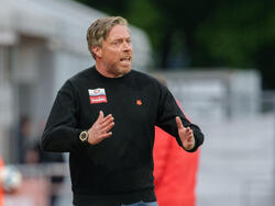 Austria-Trainer Wimmer muss nach eineinhalb Jahren seinen Hut nehmen