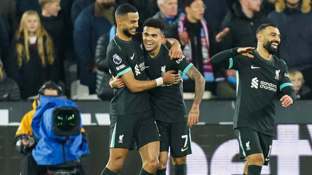 Cody Gakpo (l.) hat offenbar das Interesse des FC Bayern geweckt Cody Gakpo (l.) hat offenbar das Interesse des FC Bayern geweckt