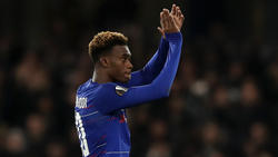 Hudson-Odoi soll sich mit dem FC Bayern einig sein