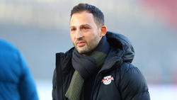 Domenico Tedesco trifft mit RB Leipzig auf Hansa Rostock