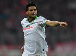 Bremen kann auf den Einsatz von Claudio Pizarro setzen