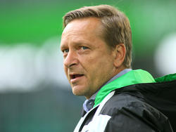 Bei Hannover 96 entscheidet ein Quartett über Neuzgänge