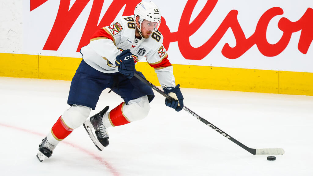 Nate Schmidt verstärkt die Utah Mammoth