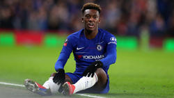 Callum Hudson-Odoi strebt offenbar weiterhin einen Wechsel nach München an