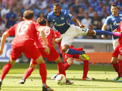 Maxim Choupo-Moting (m) und Schalke erlitten beim 1:1 gegen Augsburg eine Bruchlandung