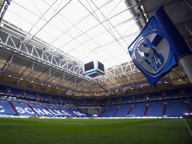 Der FC Schalke trifft in einem Testspiel auf den KRC Genk