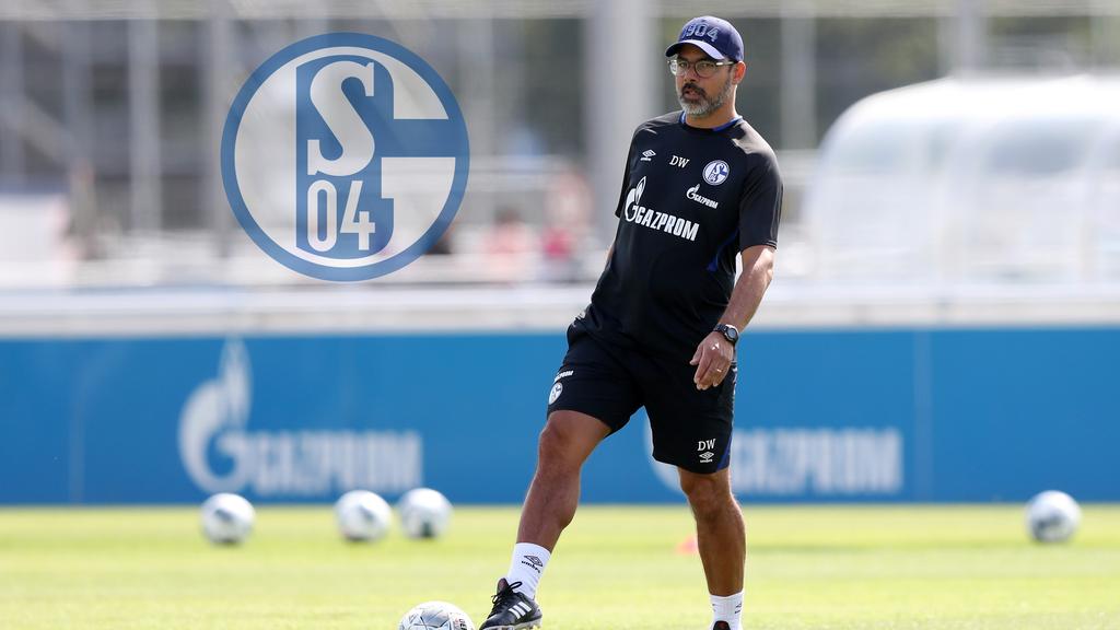 David Wagner und der FC Schalke starteten am Montag in die Vorbereitung David Wagner und der FC Schalke starteten am Montag in die Vorbereitung