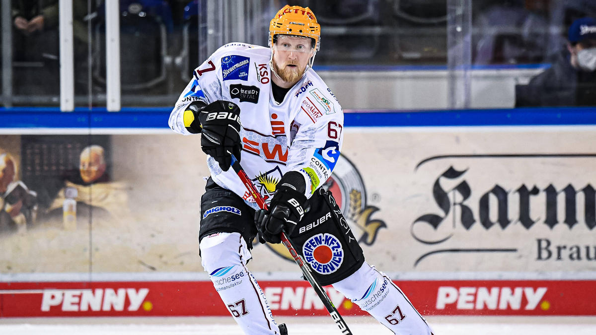 Kölner Haie vermelden Neuzugang