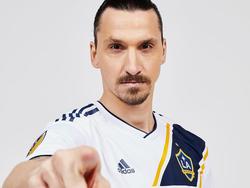Zlatan Ibarhimovic ist kein Freund zurückhaltender Worte (Bildquelle: Instagram lagalaxy)