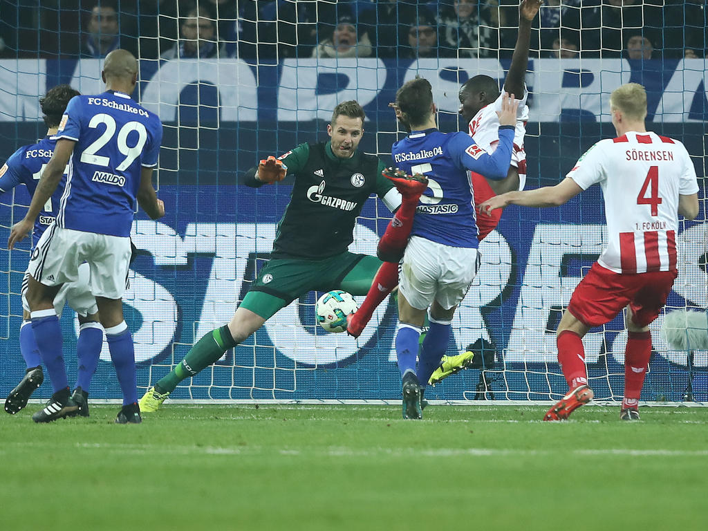 Sehrou Guirassy hat dem FC Köln einen Punkt auf Schalke gesichert