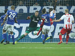 Sehrou Guirassy hat dem FC Köln einen Punkt auf Schalke gesichert