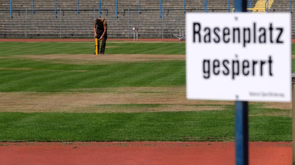 Der Rasen im Dessauer Paul-Greifzu-Stadion ist nicht bespielbar.