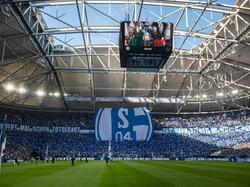 FC Schalke 04 will sich stärker im Frauenfußball engagieren.