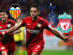 Heiß begehrt: Javier Hernández 