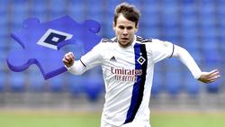 Louis Schaub soll den HSV zum Aufstieg führen