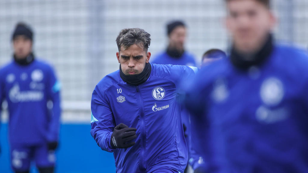 Grammozis ließ Schalke-Spielmacher Zalazar zuletzt auf der Bank