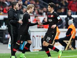Kandidaten bei Bayern München: Julian Brandt (l.) und Kai Havertz