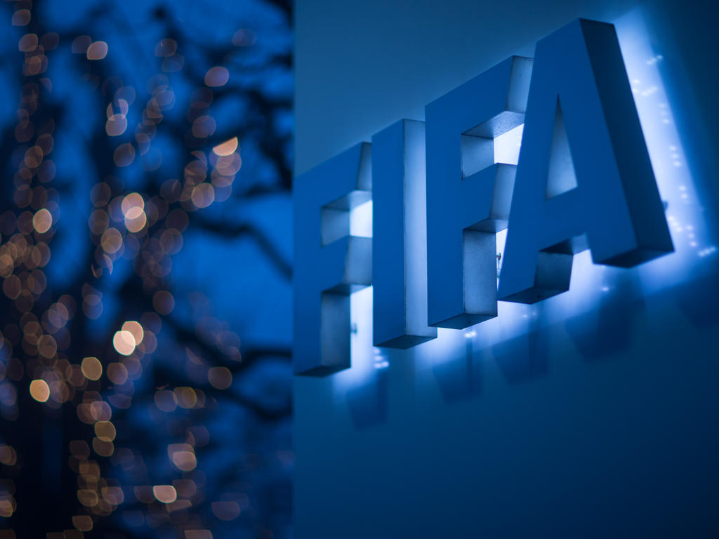 Die FIFA hebt die Arbeit mit dem Europarat hervor