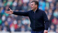 Dieter Hecking könnte noch in dieser Woche als HSV-Coach präsentiert werden