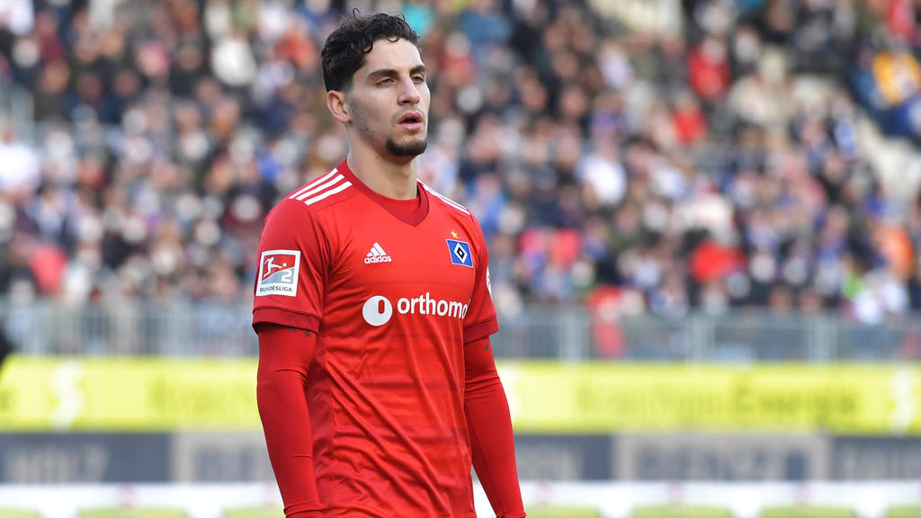 Ludovit Reis